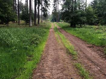 Percorso Bici da strada Büllingen - Olaftalsperre  - Photo
