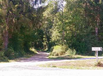 Percorso Camminata nordica Manzat - Marmoizou par Laty  - Photo