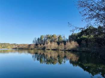 Excursión Senderismo Zutendaal - Kattevennen_blauw_8,8_km - Photo