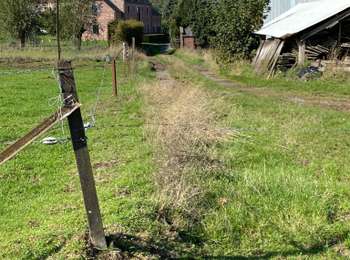 Trail Walking Gerpinnes - Grande traversée du Tournibus - Photo