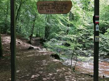 Percorso Marcia Jalhay - Promenade de la Hoëgne   - Photo