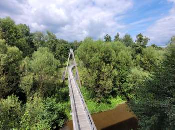 Tocht Stappen Martelange - rando martelange 3-08-2025 - Photo