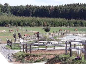 Trail Horseback riding Libramont-Chevigny - Saint-Hubert rte Madame artagnan proposition 1 - Photo