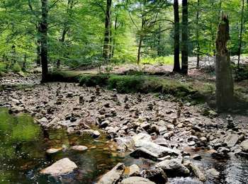 Trail Walking Eupen - Promenade de la forêt des ducs   - Photo