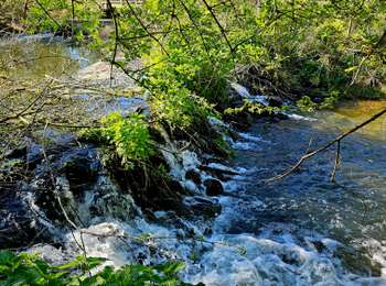 Randonnée Marche Mons - Balade à Hyon - Mons - Photo