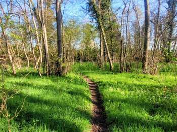 Tocht Stappen Orry-la-Ville - SityTrail - 3204661 - gr1-orry-la-ville - Photo