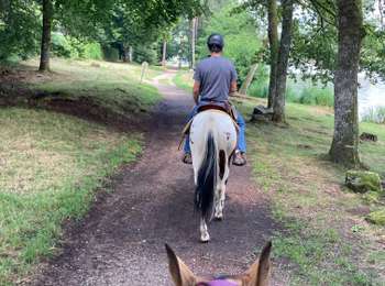 Trail Horseback riding Montsauche-les-Settons - Manger une glace et un smoothi - Photo