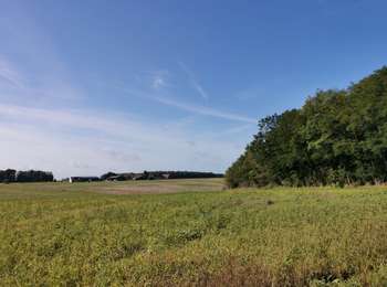 Trail Walking Chéroy - D077&8-49 Vallées du Lunain - Photo