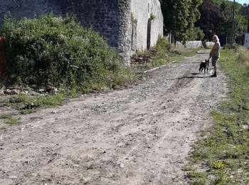 Trail Walking Ouffet - ouffet fermes ac + - Photo