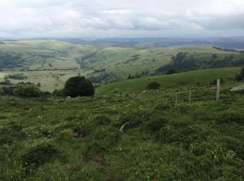 Percorso Marcia Anzat-le-Luguet - Signal du luguet  - Photo