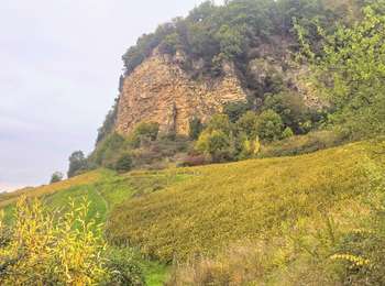 Trail Walking Marigny - Séjour Le Jura Et5 Marigny - Voiteur - Photo