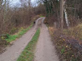 Trail Walking Bassenge - Eben Emael - Photo