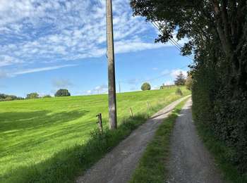 Trail Walking Raeren - Hauset 22,8 km - Photo