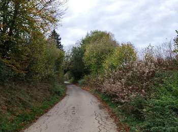 Randonnée Marche Tenneville - Boucle agricole - Le circuit de la ferme des Frênes  - Photo