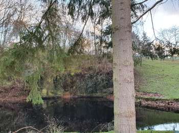 Trail Walking Écaussinnes - Tour chateau de la Follie - Photo