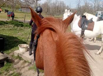 Percorso Equitazione Le Broc - grand tour  - Photo