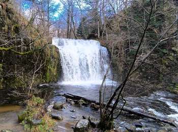 Percorso Marcia Égliseneuve-d'Entraigues - Les cascades d'Egliseneuve en automne  - Photo