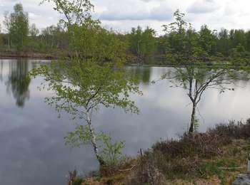 Trail Mountain bike Mélisey - VTT des milles étangs, melisey - Photo