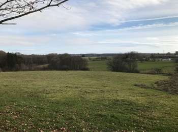 Trail Horseback riding Fougerolles-Saint-Valbert - Sarcenot 2h - Photo