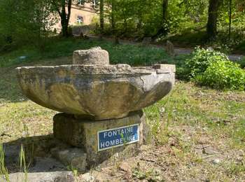 Randonnée Marche Arlon - Clairefontaine  - Photo
