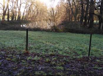 Tour Wandern La Bruyère - villers-1 - Photo