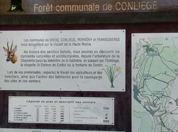 Trail Walking Conliège - Conliege Les voies PLM page 151 - Photo