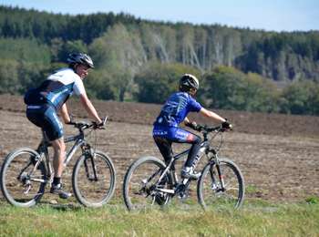 Randonnée V.T.T. Saint-Hubert - Forêt du Roi Albert - Photo