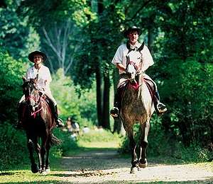 Trail Equestrian Péruwelz - Cross-border loop of Bon-Secours - Photo