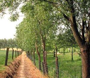 Trail Equestrian Mont-de-l'Enclus - Loop of Mont de l’Enclus - Photo