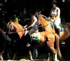 Trail Equestrian Flobecq - Loop of Flobecq - Photo