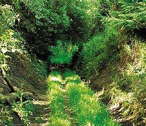 Trail Equestrian Rumes - Loop of Rumes-Tournai - Photo