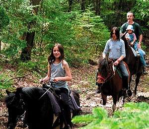 Trail Equestrian Lessines - Loop of Ghoy - Photo