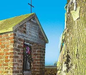 Trail On foot Ath - La ronde du Blanc Moulin - Photo