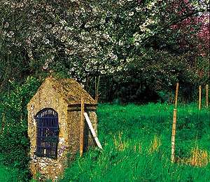 Trail On foot Frasnes-lez-Anvaing - The Enchanted Trail - Photo