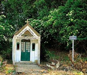 Trail On foot Frasnes-lez-Anvaing - La Balade des Hiboux - Photo