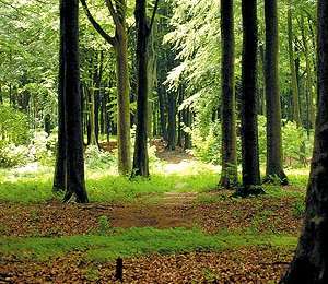 Trail On foot Mont-de-l'Enclus - The Mont de l’Enclus Landscape Walking Tour - Photo