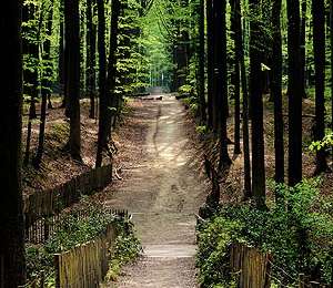 Trail On foot Flobecq - Dans le Brakelbos - Photo