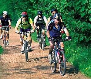 Trail Mountain bike Frasnes-lez-Anvaing - Across woodland and countryside - Photo