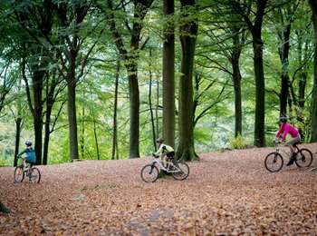 Trail Mountain bike Mont-de-l'Enclus - Lanscape around Mont de l’Enclus - Photo