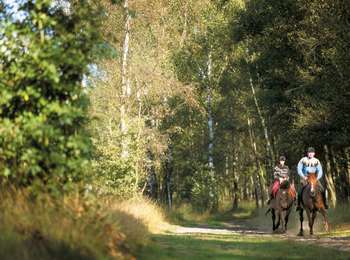 Trail Equestrian Belœil - Boucle de Beloeil - Photo
