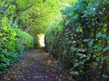 Trail On foot Leuze-en-Hainaut - Over the 