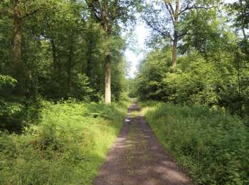 Trail On foot Belœil - The Burbling Spring Walk - Photo
