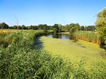 Trail On foot Pecq - Léaucourt et ses marais - Randofamili - Photo