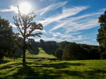 Trail On foot Tournai - The Rising Sun Walking Tour - Photo