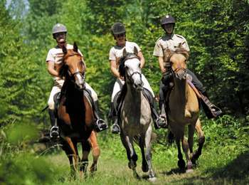 Trail Equestrian Frasnes-lez-Anvaing - Loop of Frasnes-Lez-Anvaing - Photo