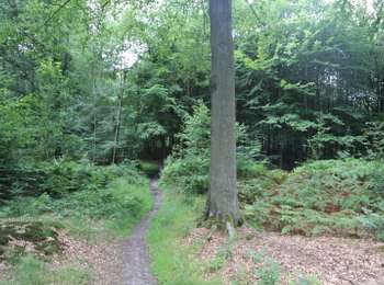 Trail On foot Péruwelz - Marshal Croÿ circuit - Photo