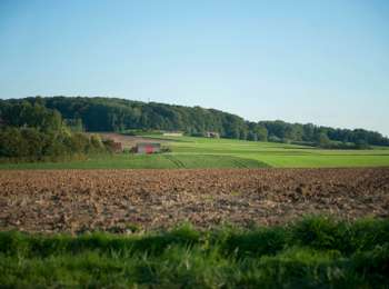 Trail On foot Tournai - Green wood walk - Photo