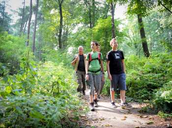 Trail On foot Mont-de-l'Enclus - The legend of Liedericq - Photo