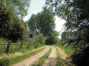 Trail On foot Ellezelles - Walk Jean Nature - Photo