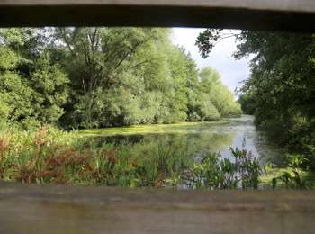 Trail On foot Brunehaut - Bléharies severed meander bird watching walking tour - 1km - Photo